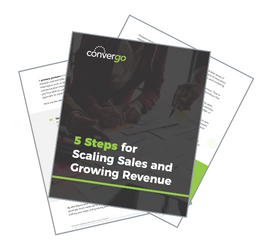 Scaling Sales and Growing Revenue eBook